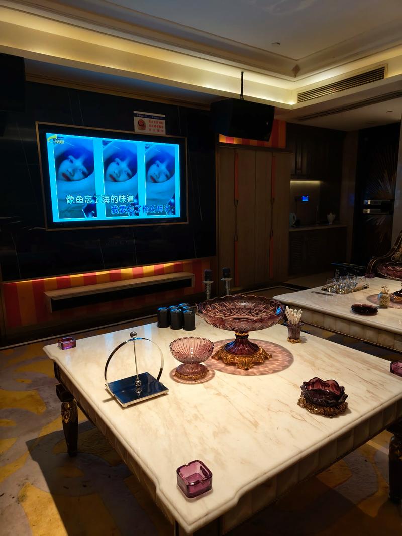 资阳商务ktv引领商务ktv新玩法-雁江区ktv预定